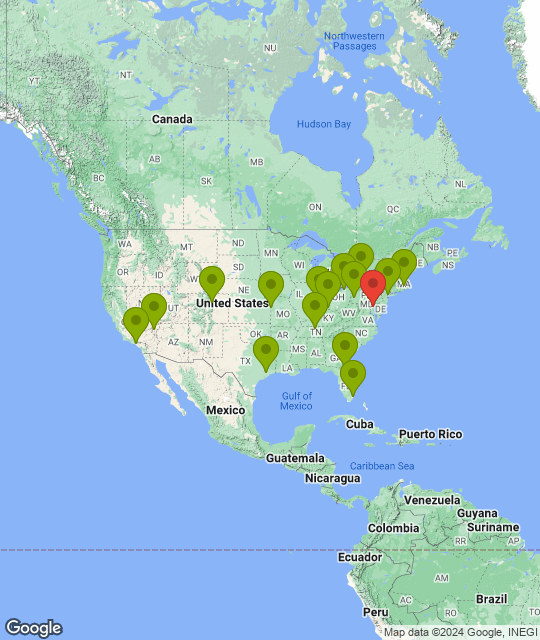 Baltimore Ravens_league.png